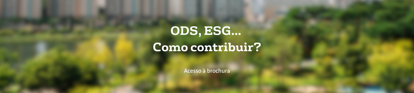 Brochura Veolia Dia Nacional da Sustentabilidade - testemunhos e boas práticas para acelerar a Agenda 2030 - ODS, ESG